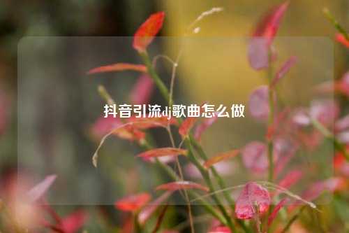 抖音引流dj歌曲怎么做