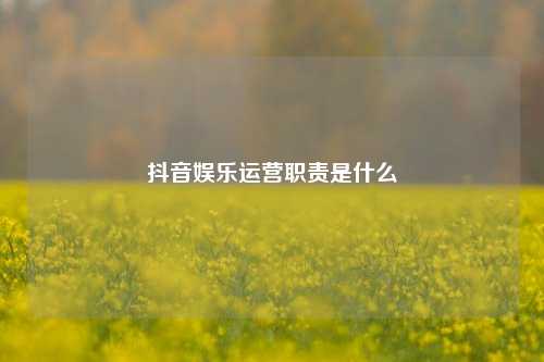 抖音娱乐运营职责是什么