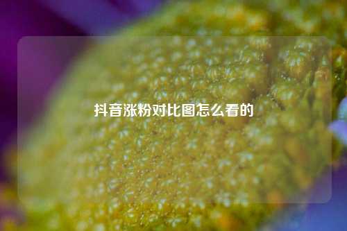 抖音涨粉对比图怎么看的