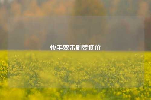 快手双击刷赞低价