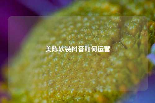 美陈软装抖音如何运营