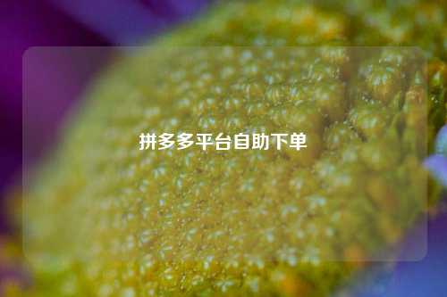拼多多平台自助下单