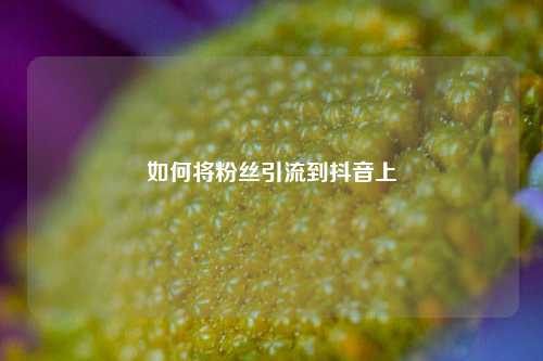 如何将粉丝引流到抖音上