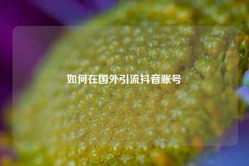 如何在国外引流抖音账号