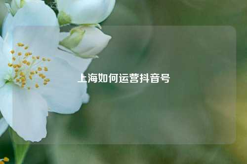 上海如何运营抖音号