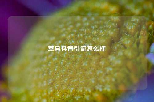 莘县抖音引流怎么样