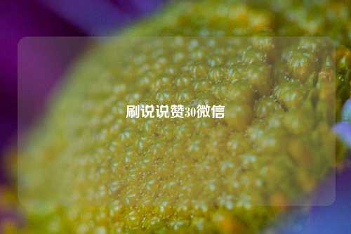 刷说说赞30微信