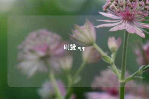 刷赞 app