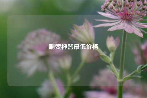 刷赞神器最低价格