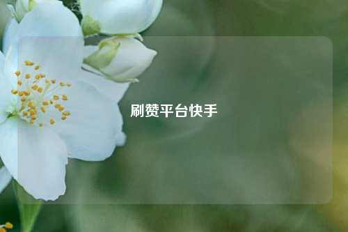 刷赞平台快手