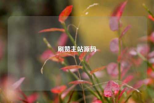 刷赞主站源码