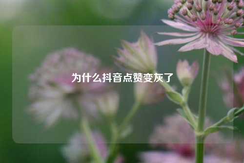 为什么抖音点赞变灰了