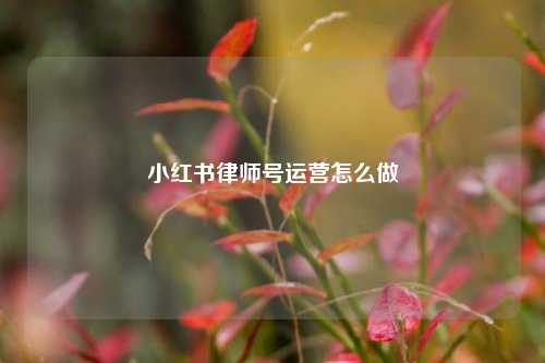 小红书律师号运营怎么做