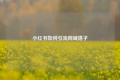 小红书如何引流同城搭子