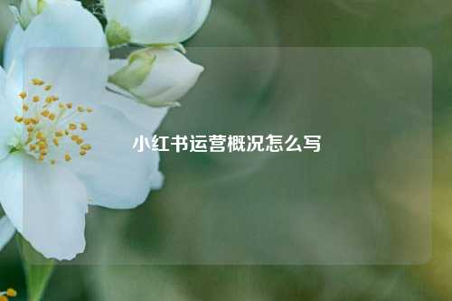 小红书运营概况怎么写